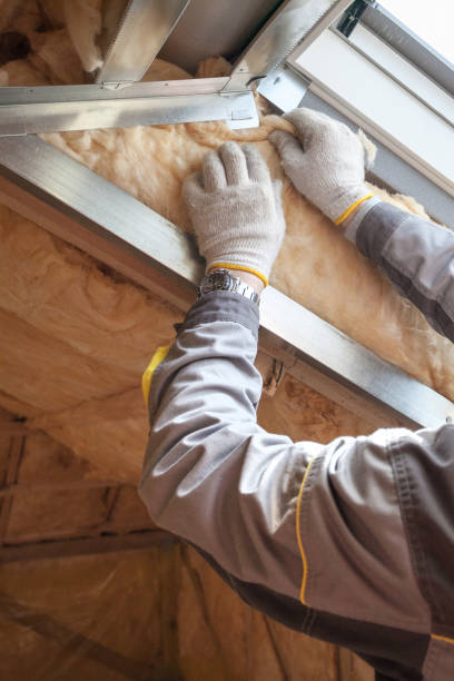 Best Specialized Insulation Services in Harrisburg, IL