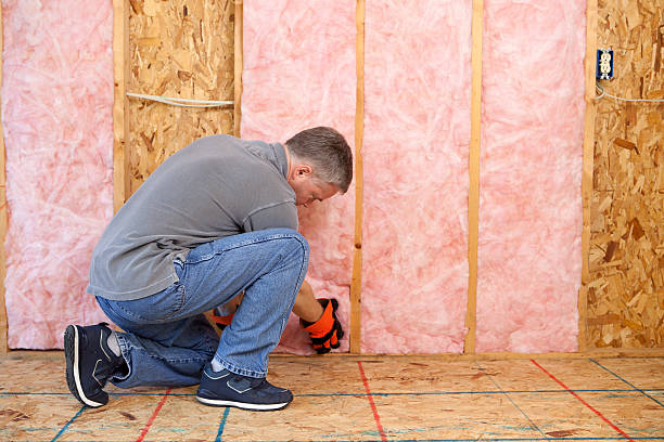 Best Specialized Insulation Services in Harrisburg, IL